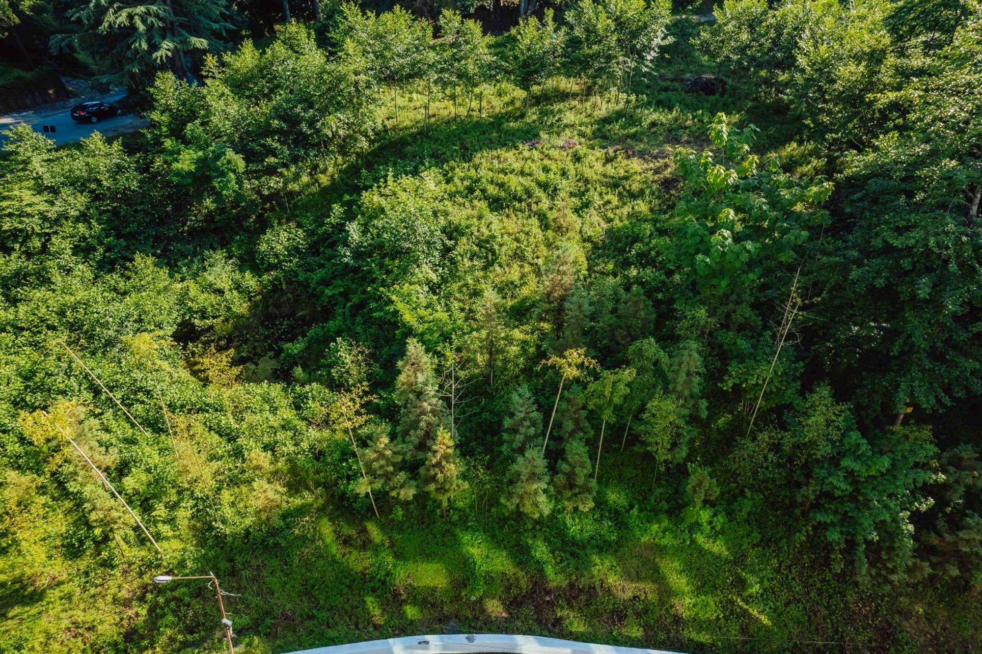 Capo Verde Hotel Батумі Екстер'єр фото